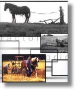Agricultural Mechanization