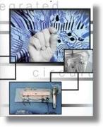 Integrated Circuit