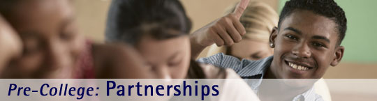 Partnerships