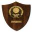 Heat Transfer Memorial Award