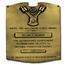 Internal Combustion Engine Award