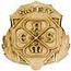 Safety Codes & Standards Medal