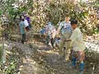 Engineers Without Borders