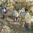 Engineers Without Borders