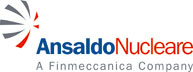 Ansaldo Nucleare