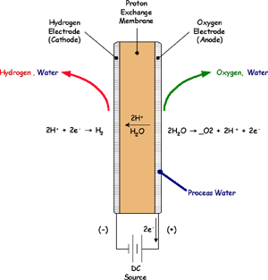Backwards Runs the Reaction - A PEM cell