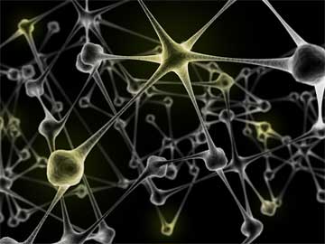 News and Notes - Pulsed ultrasound techniques can remotely stimulate brain activity