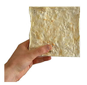 News & Notes - The 2007 first-place product, Greensulate