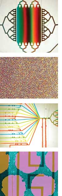 Input/Output - Gallery of microscopic images