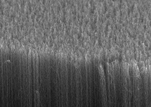 News & Notes - A dark material