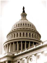35 Years for the Greater Good: Dome of the Capitol Building