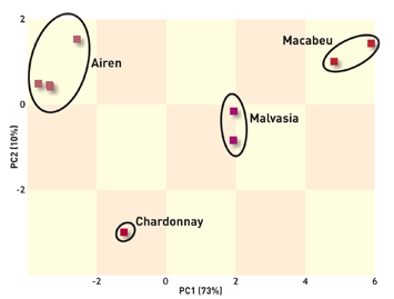 Tech Focus: Data from a multi-array sensor chip