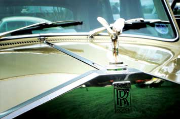 Developed To Be Unique: Hood Ornament