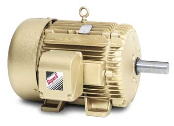 Custom Motors: A Baldor Motor