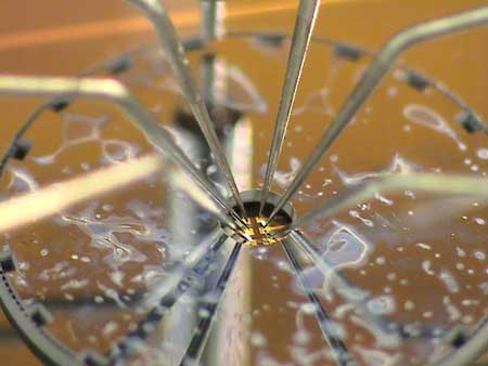 Rolling With It - Micrometer testing