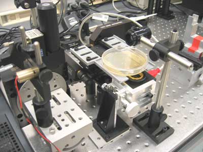 Down to the Atom - CCD sensor photo