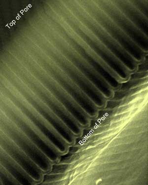 News and Notes - Aluminum oxide pores