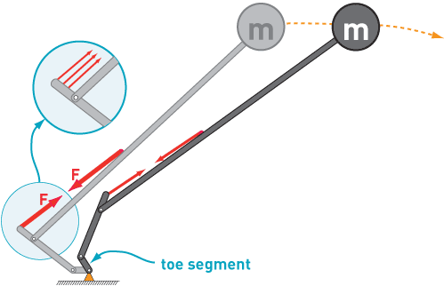 The Sprinter’s Foot - A linked-segment model of a sprinter’s push-off