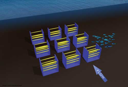 Out of the Vortex - An array of VIVACE converters