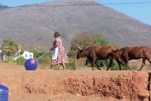 Tuning In - Transporting water with the Hippo Roller