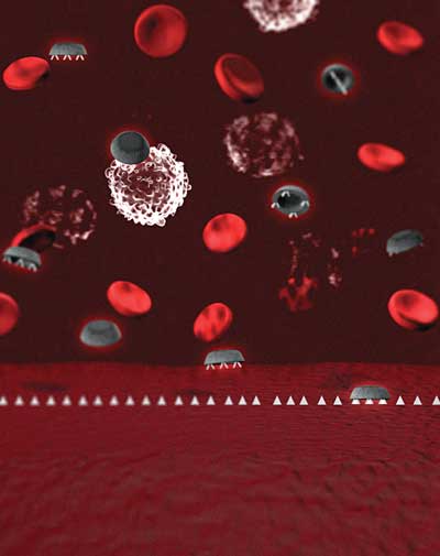 Infernal Mechanisms - Anticancer therapy may soon be carried out using nanoscale particles