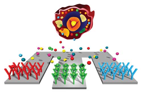 Infernal Mechanisms - Proteins produced by cancer cells can be detected quickly