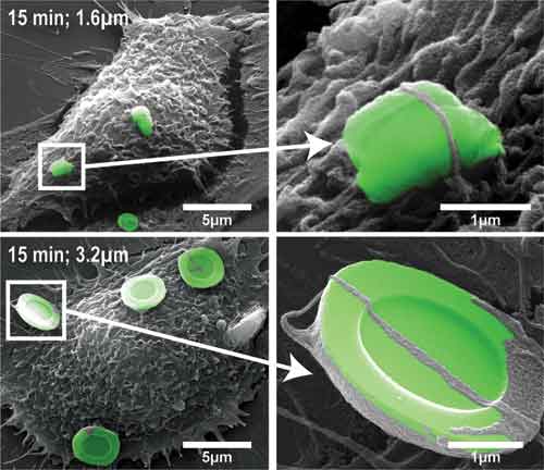 Infernal Mechanism - Researchers have developed prototype MSVs