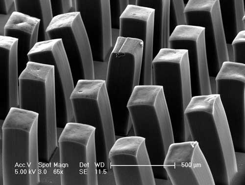 Carbon Super-Spring - Each of these pillars contains a million aligned nanotubes
