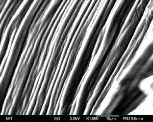 Carbon Super-Springs - Carbon nanotube test springs
