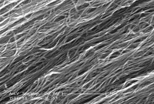 Carbon Super-Springs - Carbon nanotube test springs