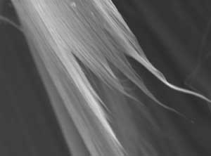 Carbon Super-Springs - Carbon nanotube fibers