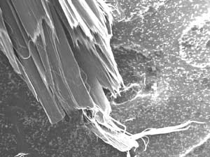 Carbon Super-Springs - Carbon nanotube fibers