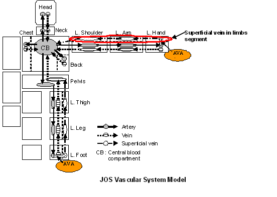 JOS Vascular System Model