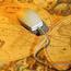 Mouse Sitting On Map Of World