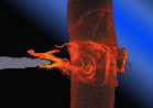 Fluids Engineering Division