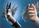 Bioengineering Division