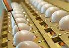 Tribology Division