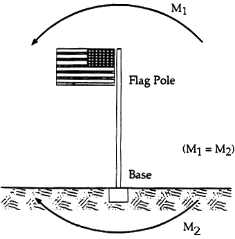 Activity 5 Figure 2