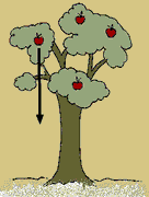 Apple Not Moving