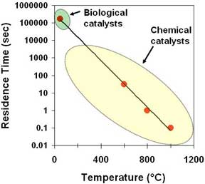 Foust Yung Biofuels Time Temperature Chart