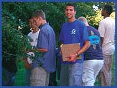 Mentoring Picnic